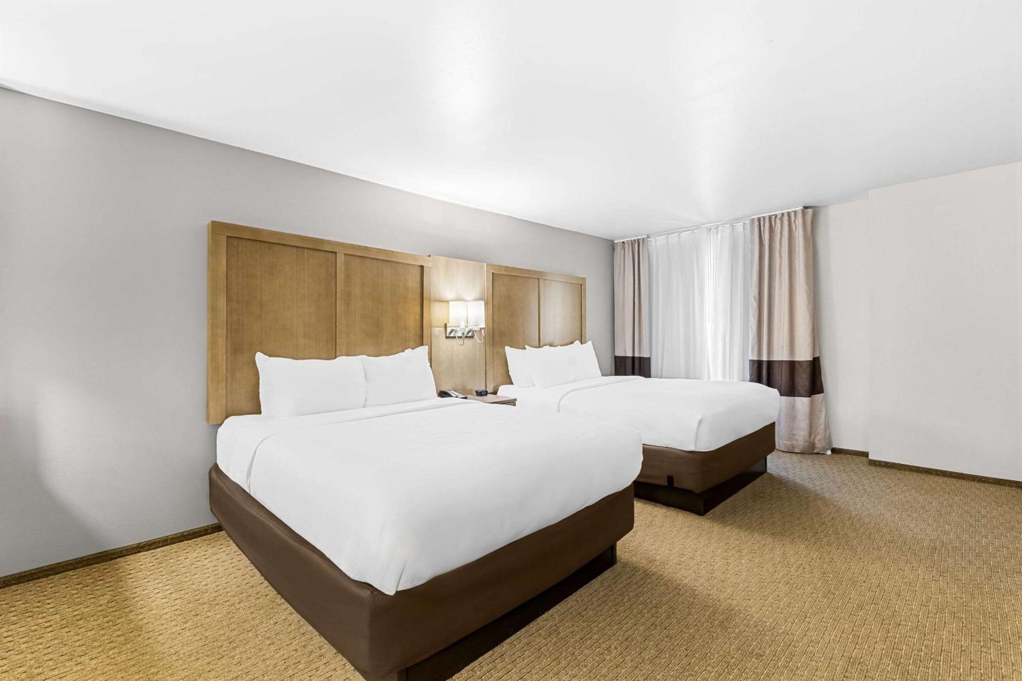 Comfort Suites Columbia Ngoại thất bức ảnh